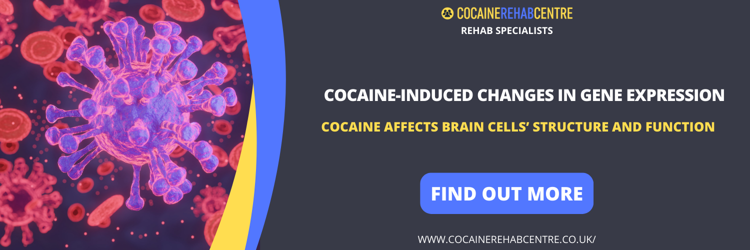 Cocaine-Induced Changes in Gene Expression 